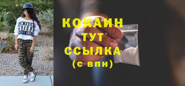 мдпв Вяземский