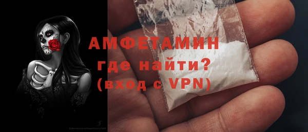 мдпв Вяземский