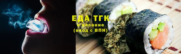 мдпв Вяземский