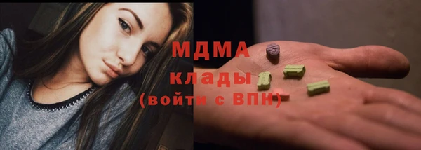мдпв Вяземский