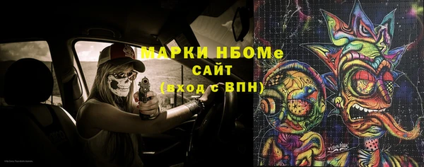 мдпв Вяземский