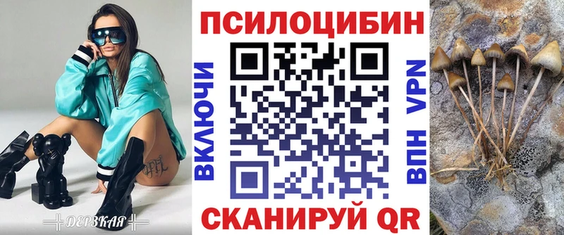 где можно купить наркотик  Закаменск  Псилоцибиновые грибы GOLDEN TEACHER 